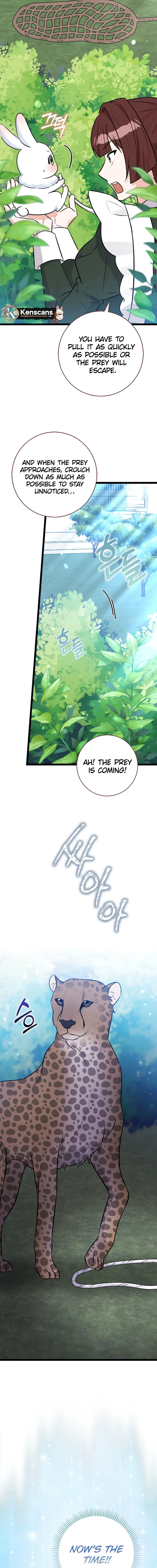 A rabbit? Anyone can see it's a beast Chapter 29 Page 8