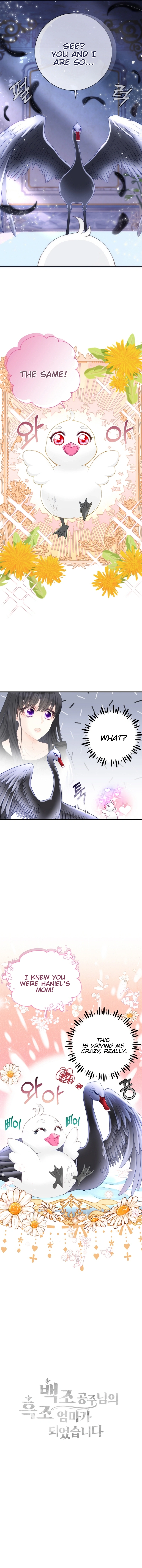 I Became the Black Swan Mother of the White Swan Princess Chapter 5 Page 11