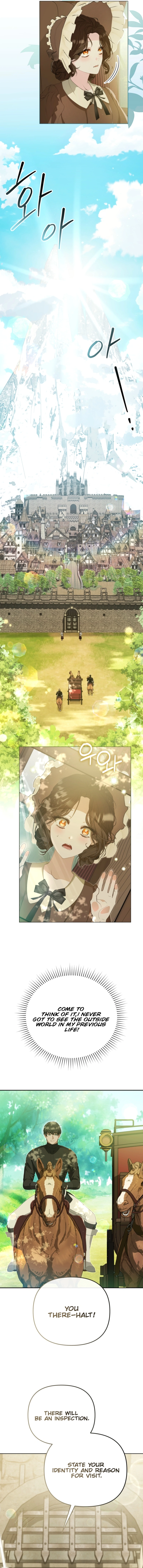 I Will Pay the Price for Deceiving You With My Life Chapter 6 Page 10