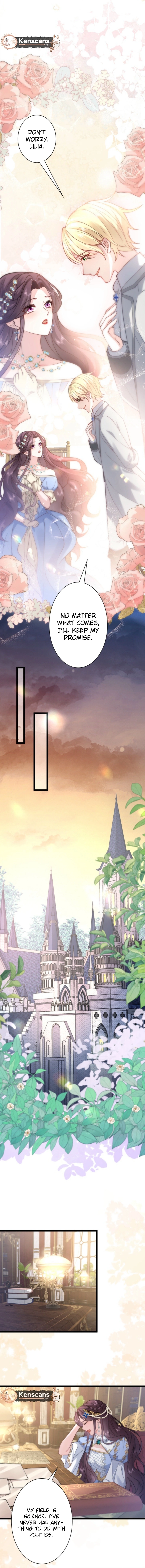 The Dowager’s Radiant Rise Chapter 3 Page 4