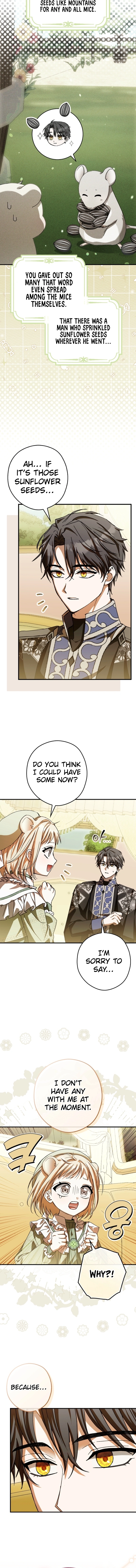 This Wild Mouse Has Taken Cinderella Chapter 21 Page 4