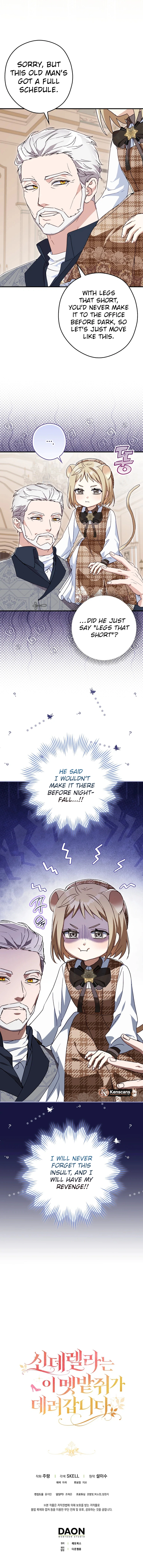This Wild Mouse Has Taken Cinderella Chapter 9 Page 12