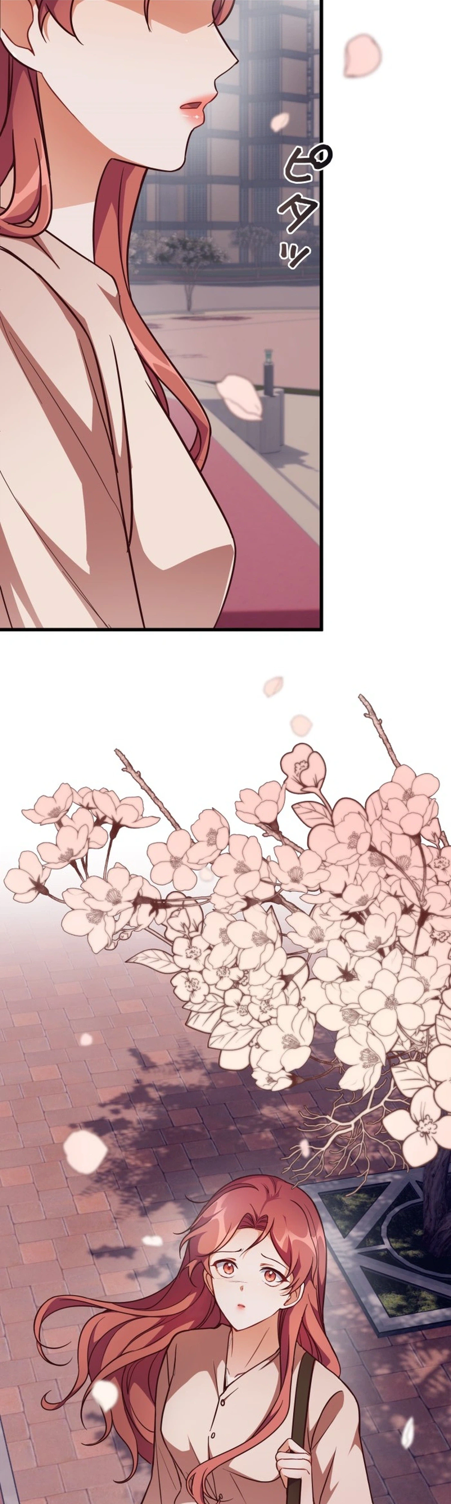 A Young Lady's Bodyguard Chapter 5 Page 5
