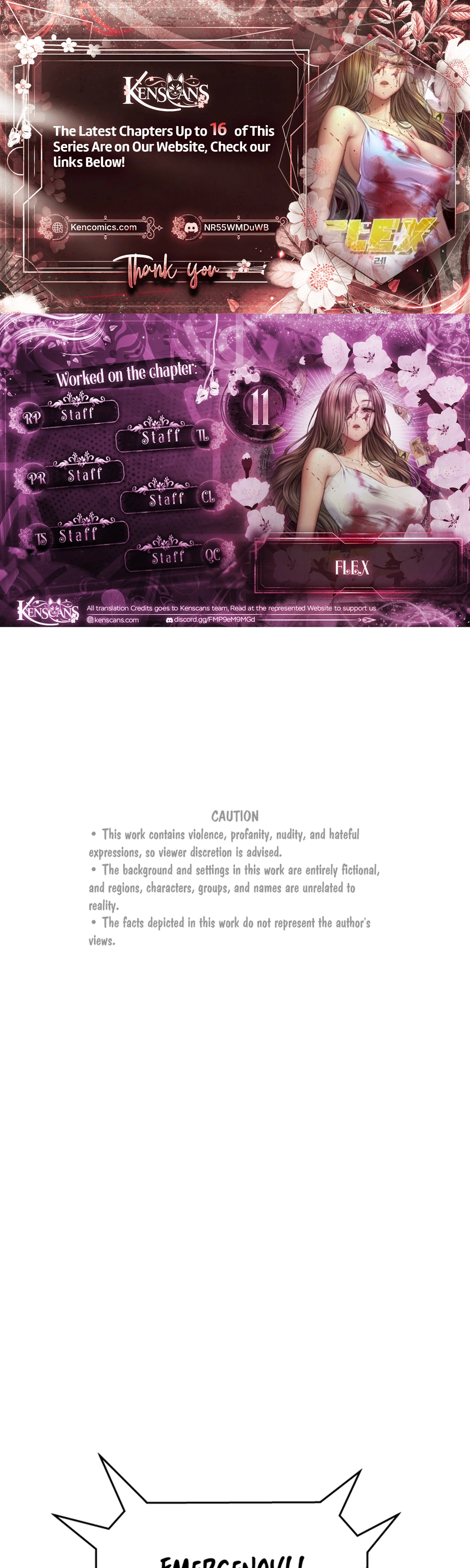 FLEX Chapter 11 Page 1