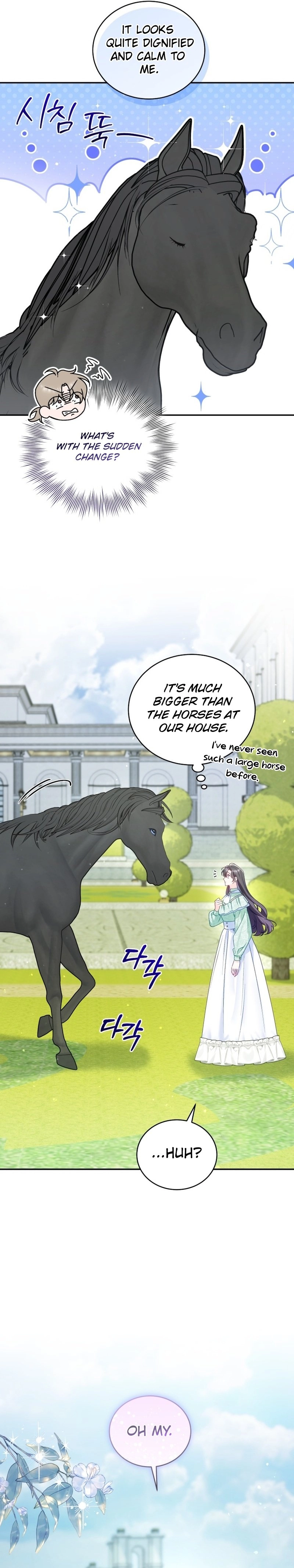 Honey, I Think That's a Misunderstanding Chapter 12 Page 11