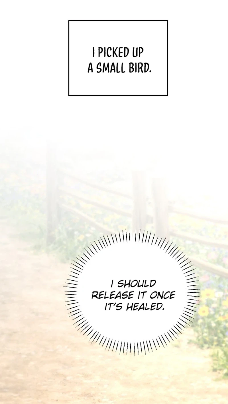 I Adopted the Male Lead from the Shelter Chapter 104 Page 12