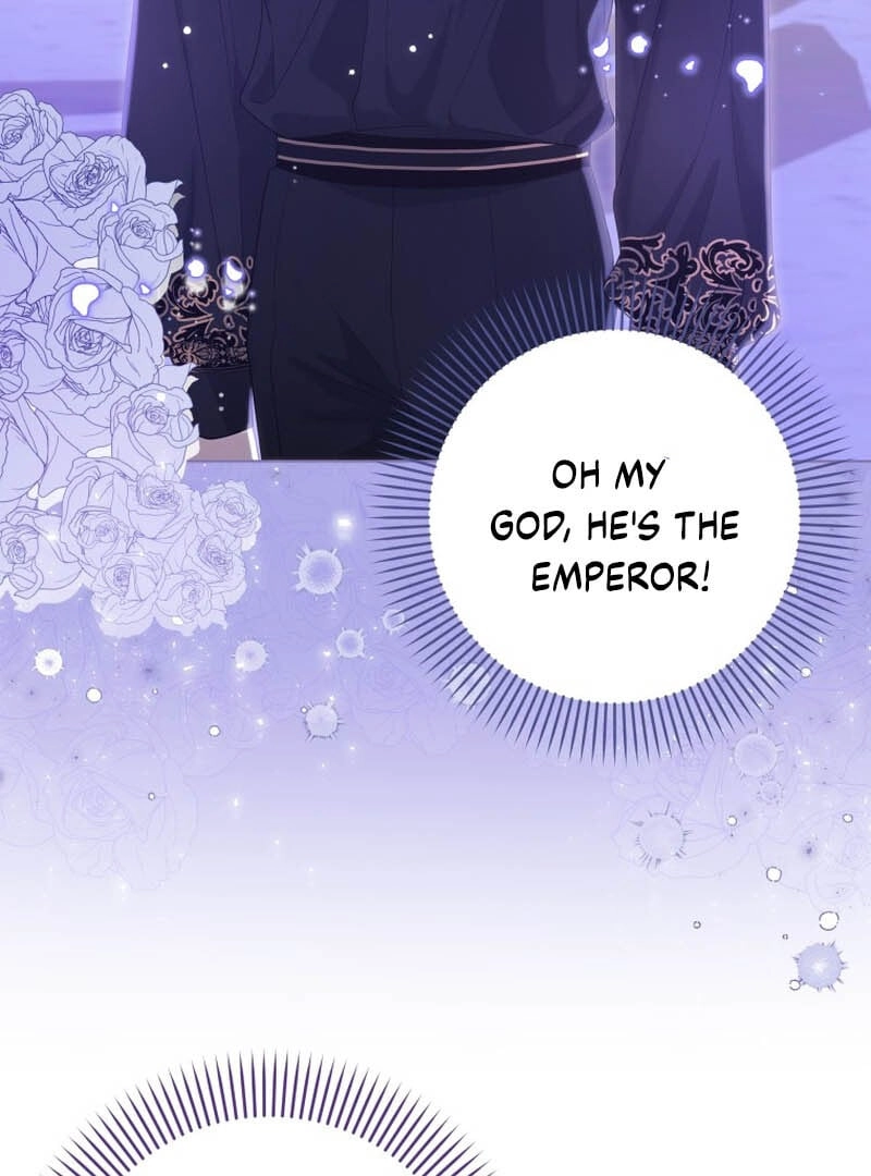 I Am the Obsessive Emperor's Talented Pharmacist Chapter 3 Page 107