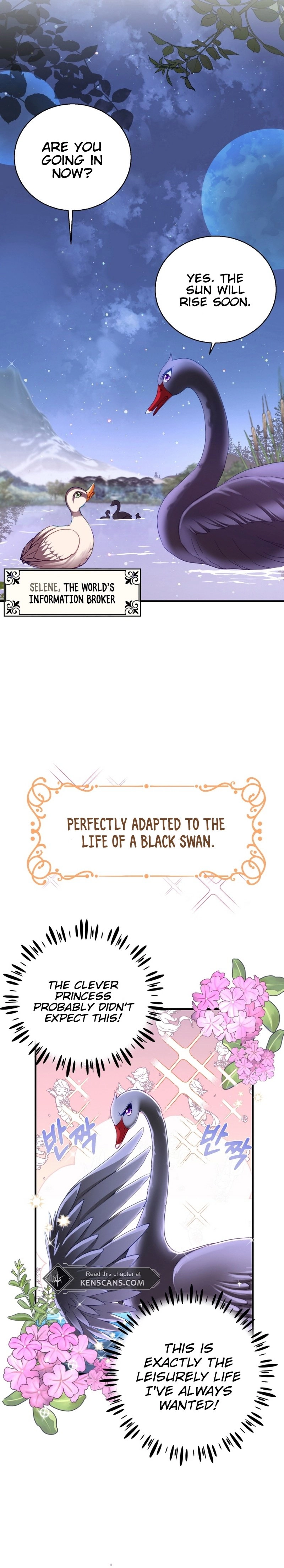 I Became the Black Swan Mother of the White Swan Princess Chapter 3 Page 12