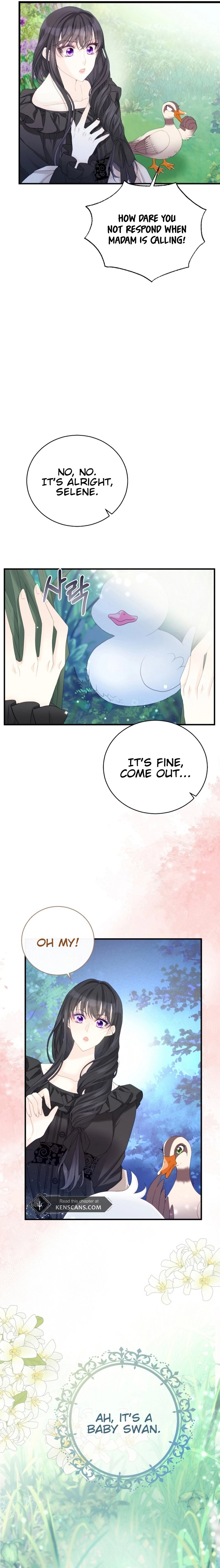 I Became the Black Swan Mother of the White Swan Princess Chapter 3 Page 24