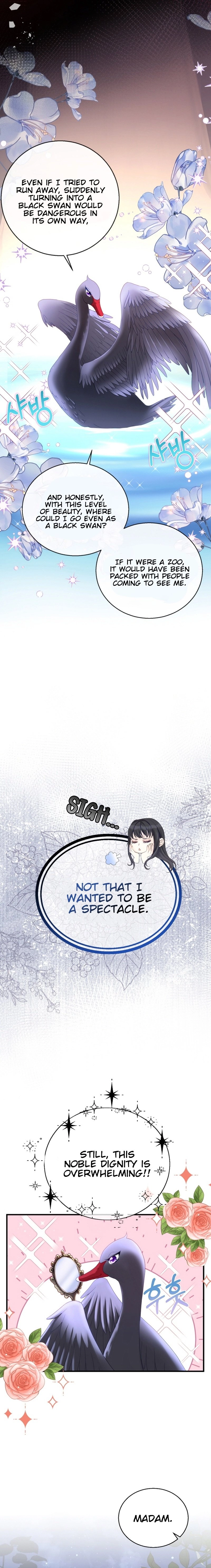 I Became the Black Swan Mother of the White Swan Princess Chapter 3 Page 11