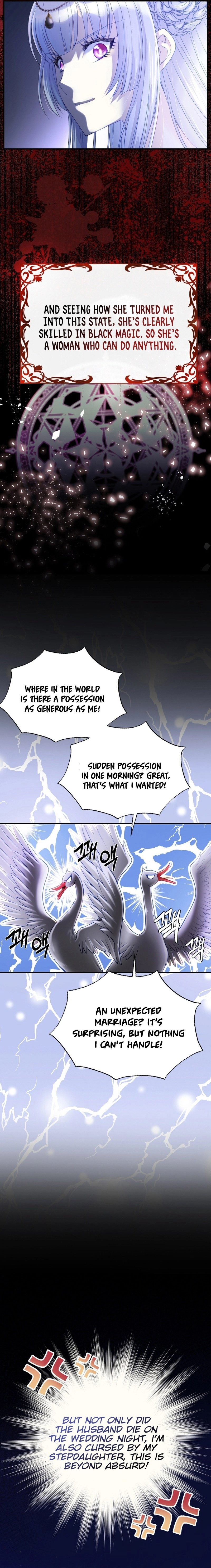 I Became the Black Swan Mother of the White Swan Princess Chapter 3 Page 9