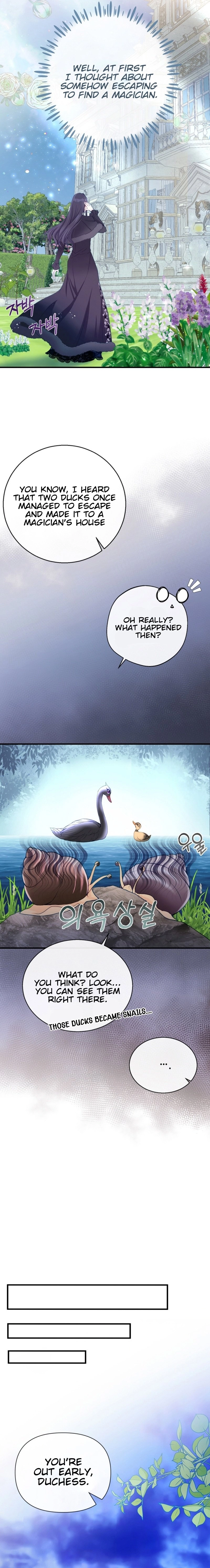 I Became the Black Swan Mother of the White Swan Princess Chapter 3 Page 19