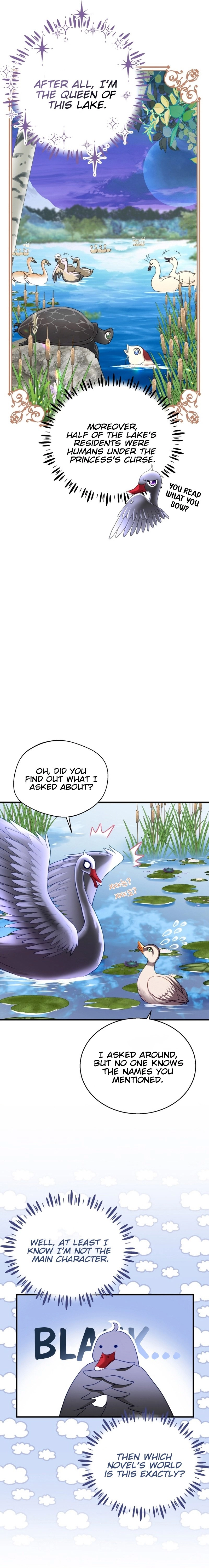 I Became the Black Swan Mother of the White Swan Princess Chapter 3 Page 13