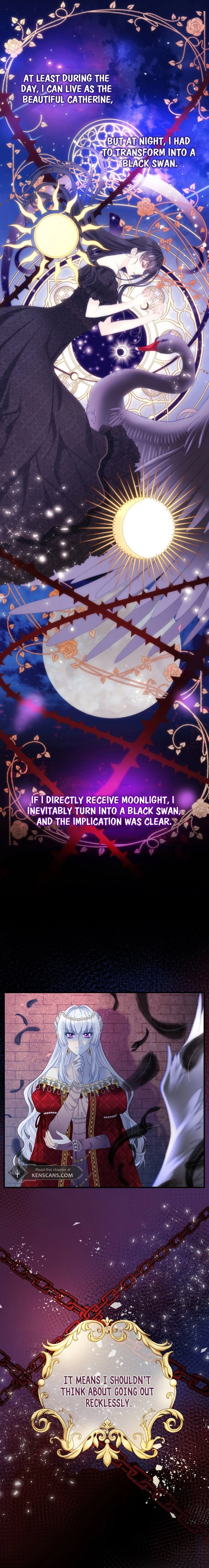 I Became the Black Swan Mother of the White Swan Princess Chapter 3 Page 10