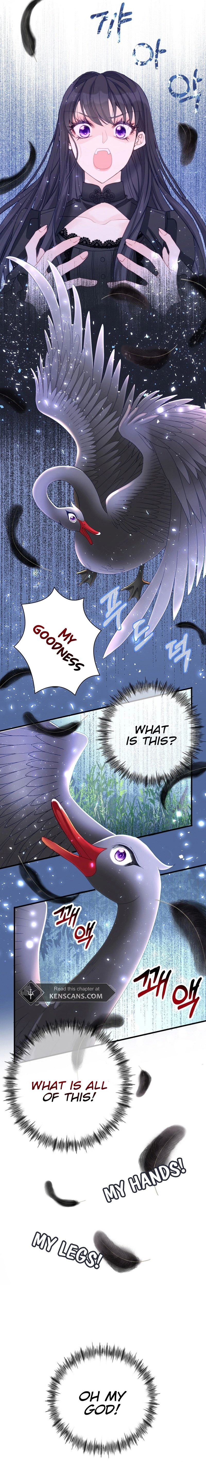 I Became the Black Swan Mother of the White Swan Princess Chapter 2 Page 21