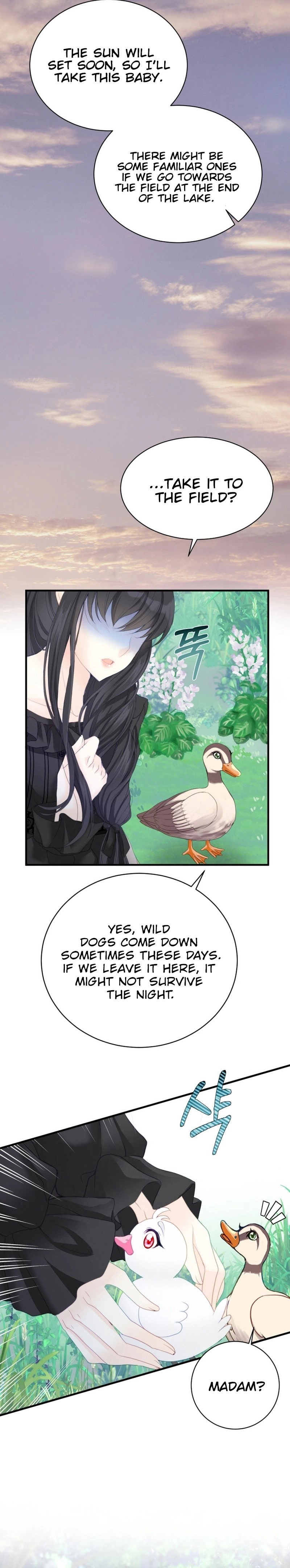 I Became the Black Swan Mother of the White Swan Princess Chapter 4 Page 5