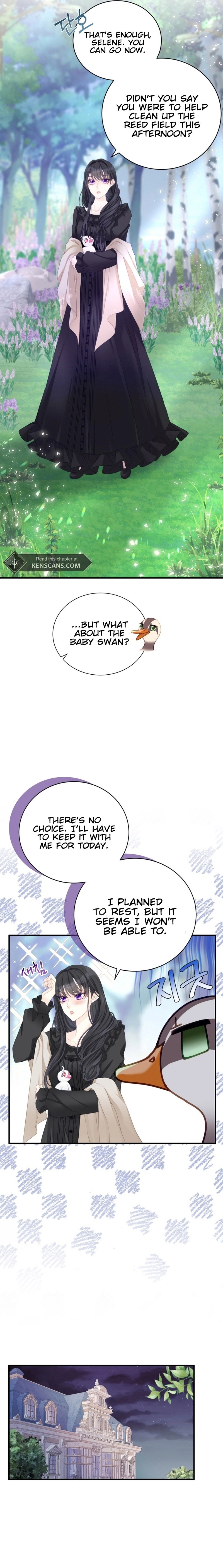 I Became the Black Swan Mother of the White Swan Princess Chapter 4 Page 6