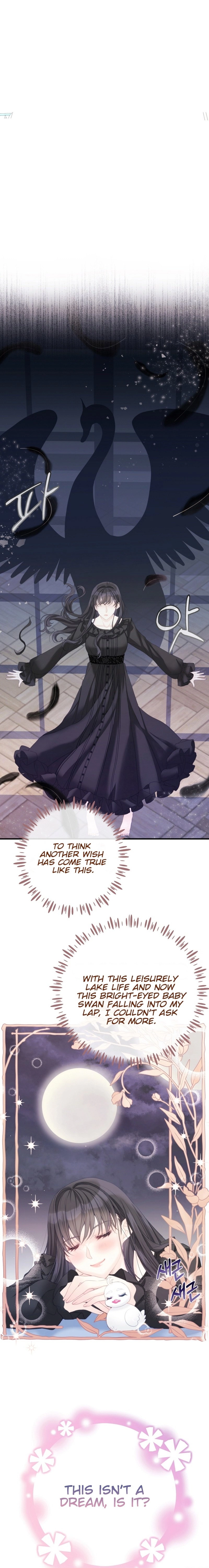 I Became the Black Swan Mother of the White Swan Princess Chapter 4 Page 13