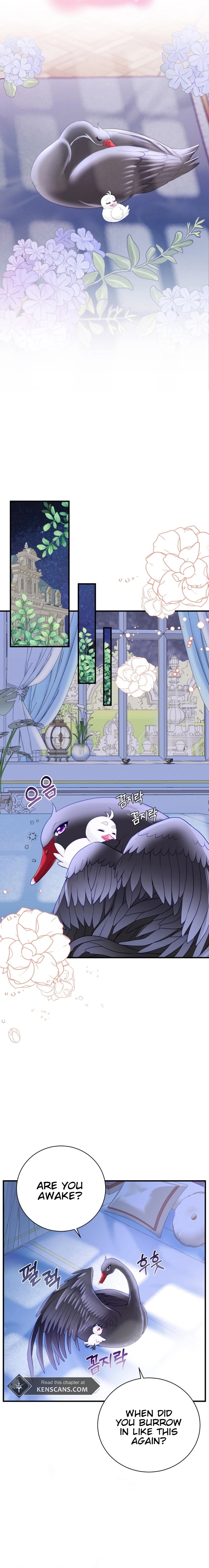 I Became the Black Swan Mother of the White Swan Princess Chapter 4 Page 14