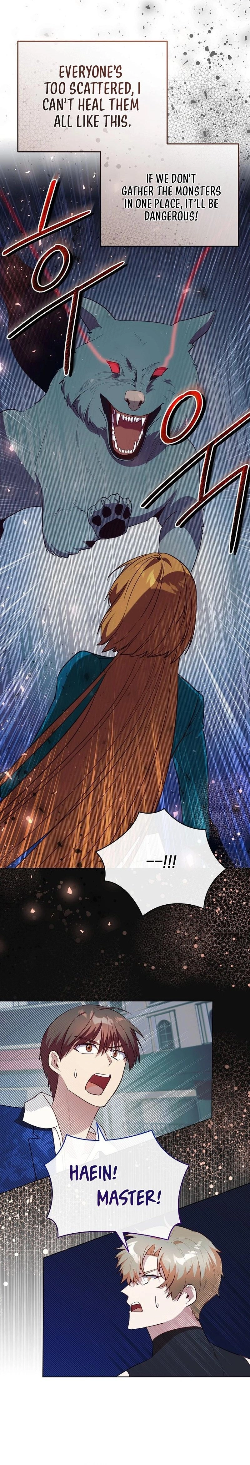 I Became the Only Healer in This World Chapter 45 Page 17