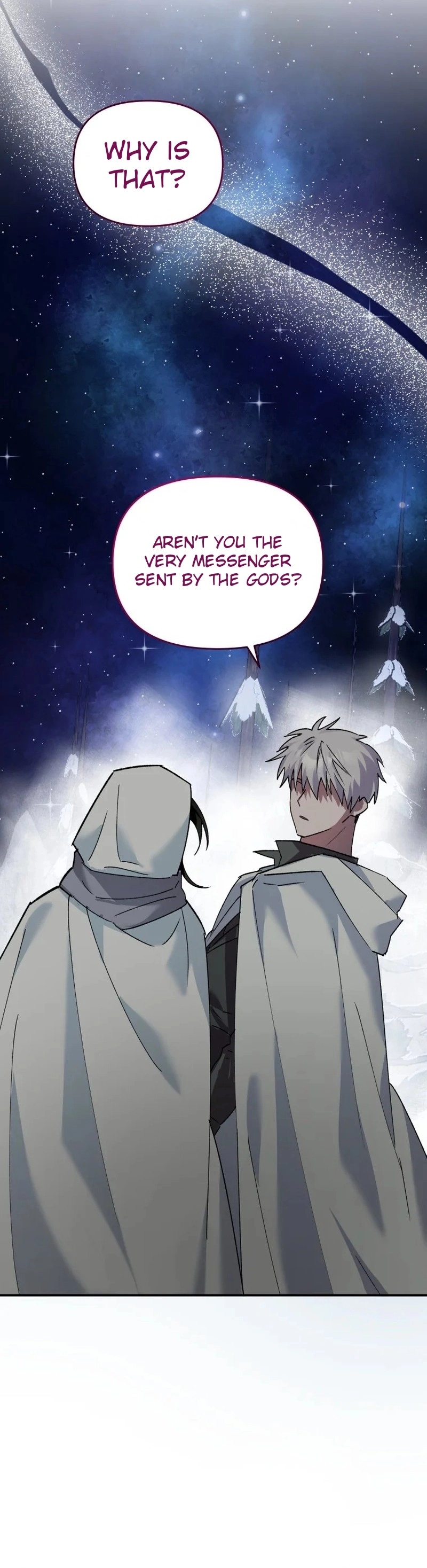 I'm a Solo Guide Chapter 11 Page 8