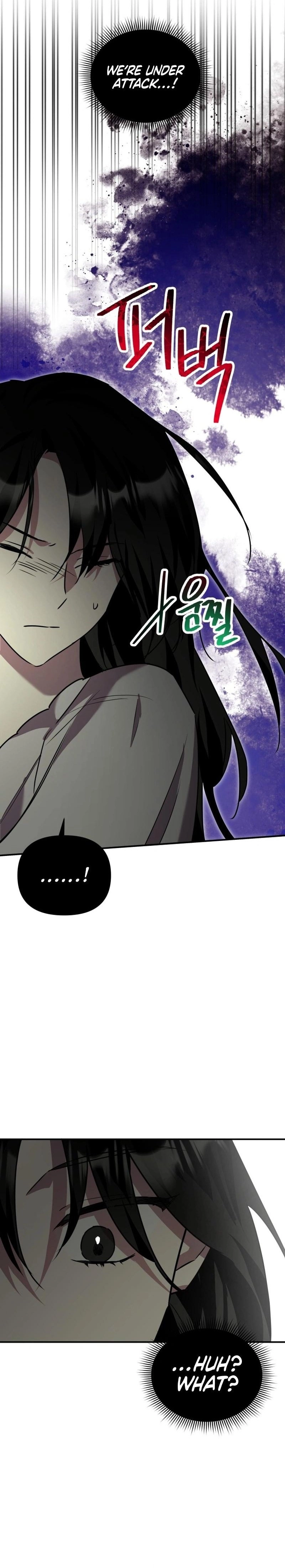 I'm a Solo Guide Chapter 25 Page 12