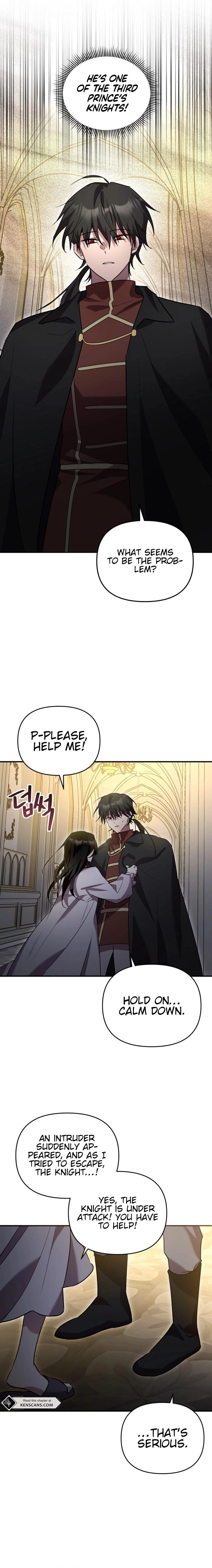 I'm a Solo Guide Chapter 25 Page 17