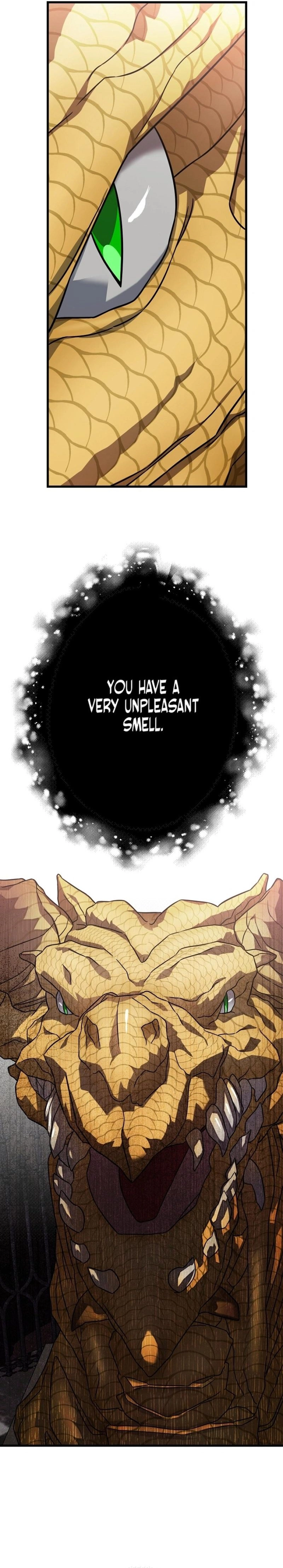 The Fake Was Abandoned Chapter 48 Page 12
