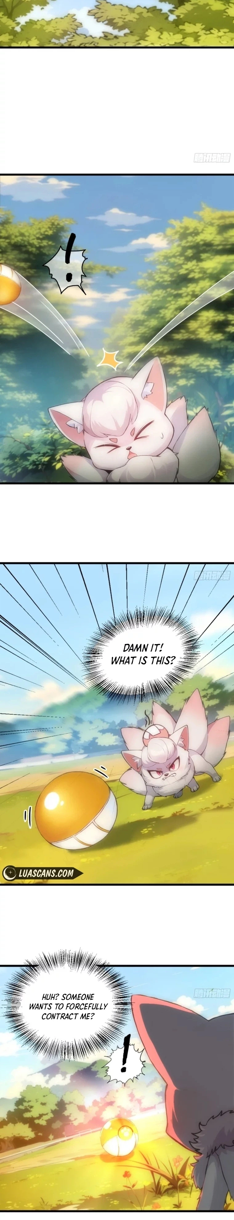 Please Pretend to Cultivate for a Bit, I'm Begging You Chapter 2 Page 12