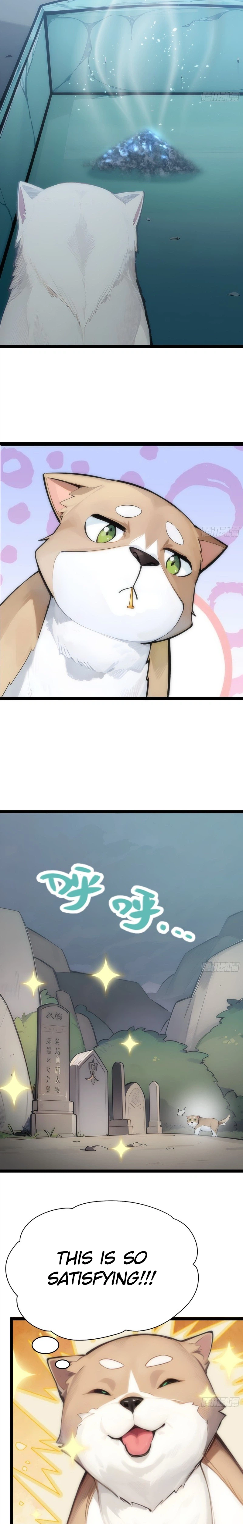 Please Pretend to Cultivate for a Bit, I'm Begging You Chapter 14 Page 10