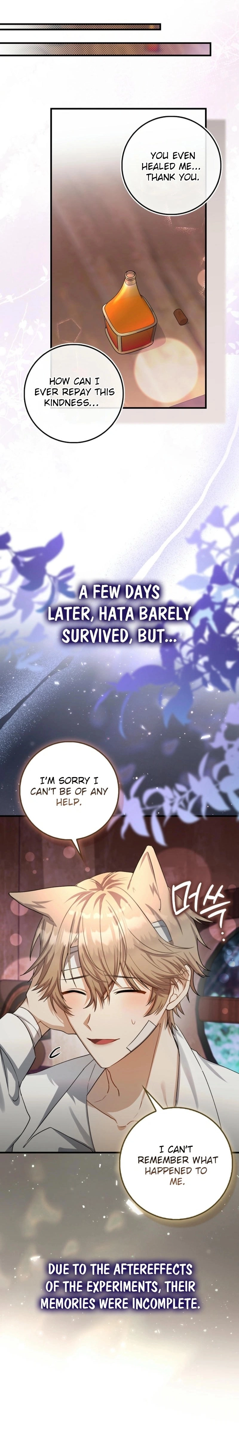 The Baby Fairy Is a Villain Chapter 13 Page 4