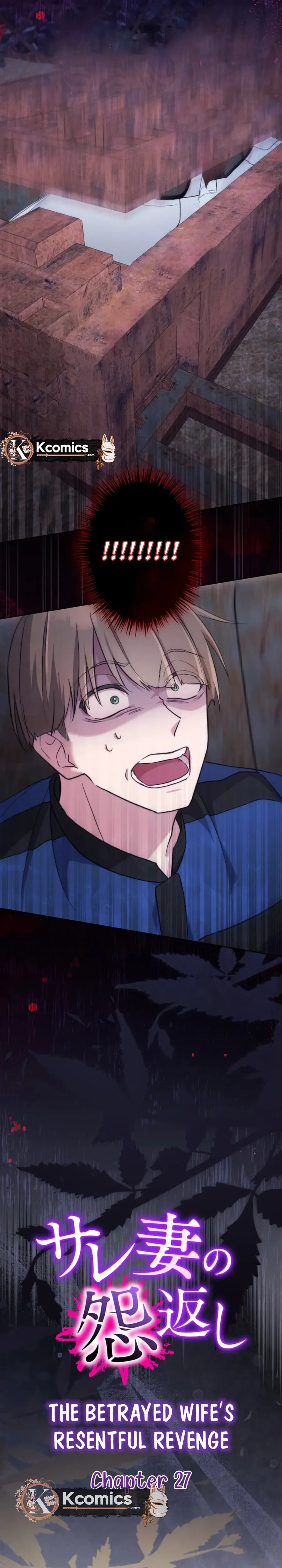 The Betrayed Wife’s Resentful Revenge Chapter 27 Page 11