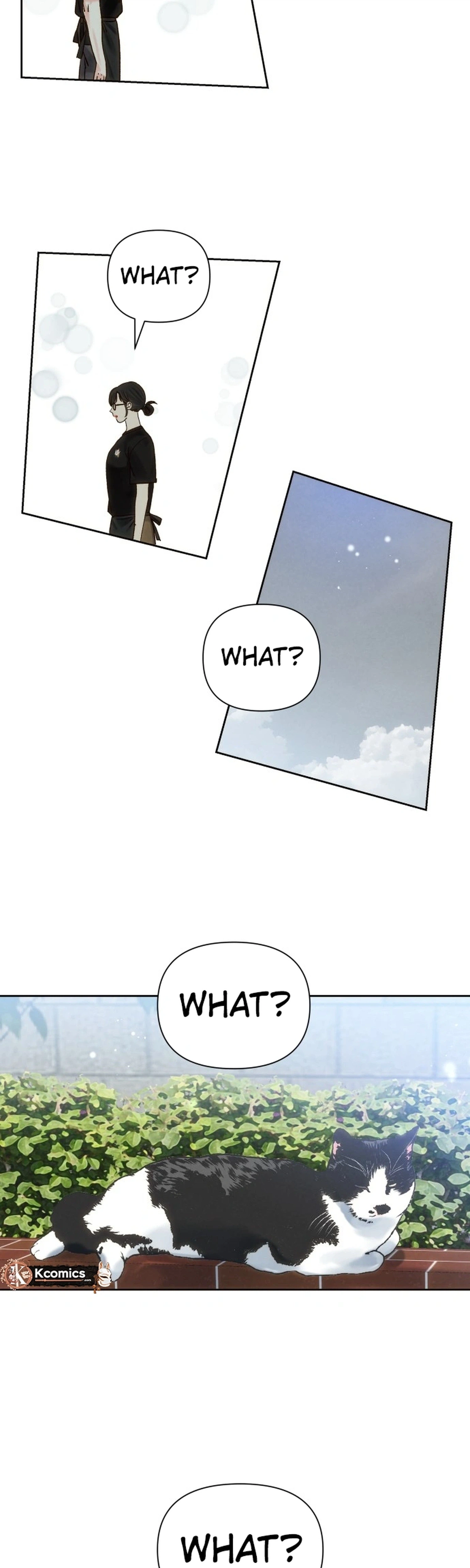 The Foxes Came to Our House Chapter 20 Page 5