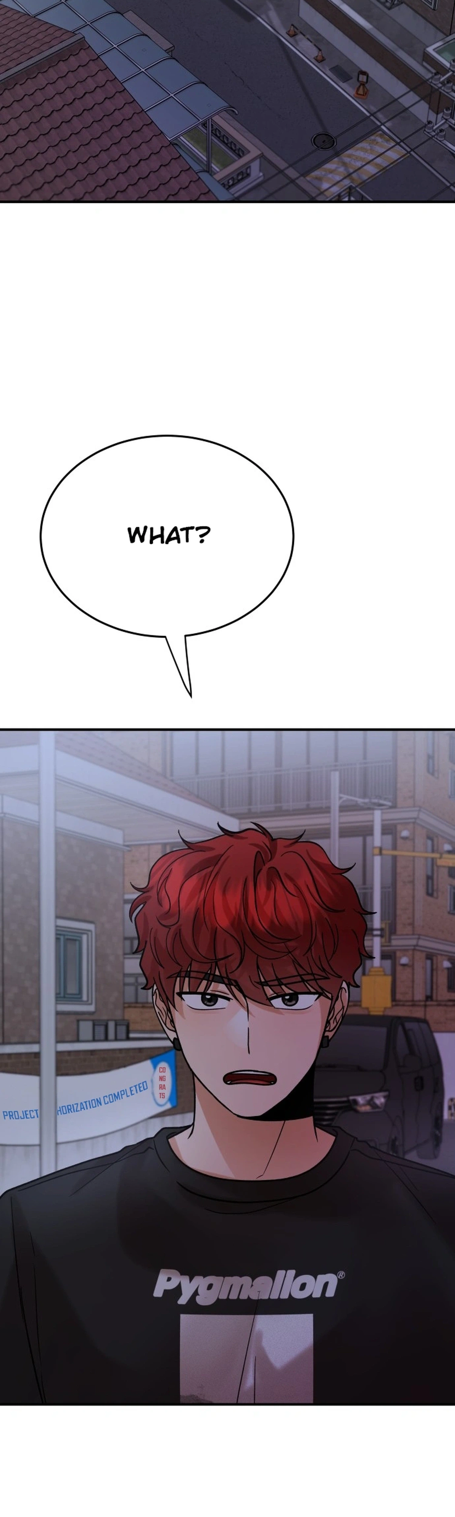 The Little Prince Reincarnate Chapter 19 Page 2