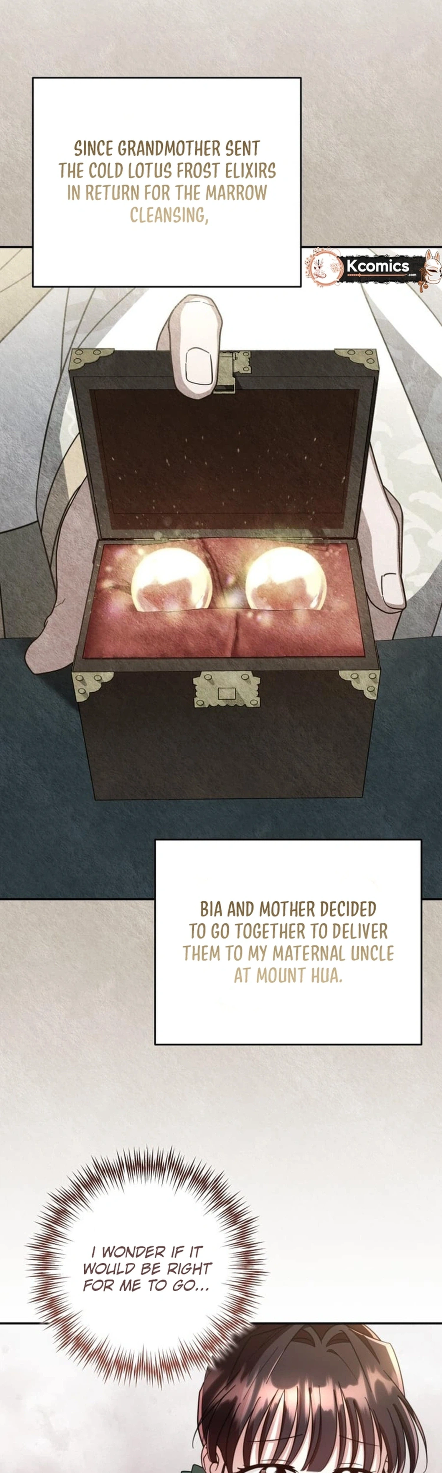 The Overflowing Elixir of the Fallen House Chapter 93 Page 4