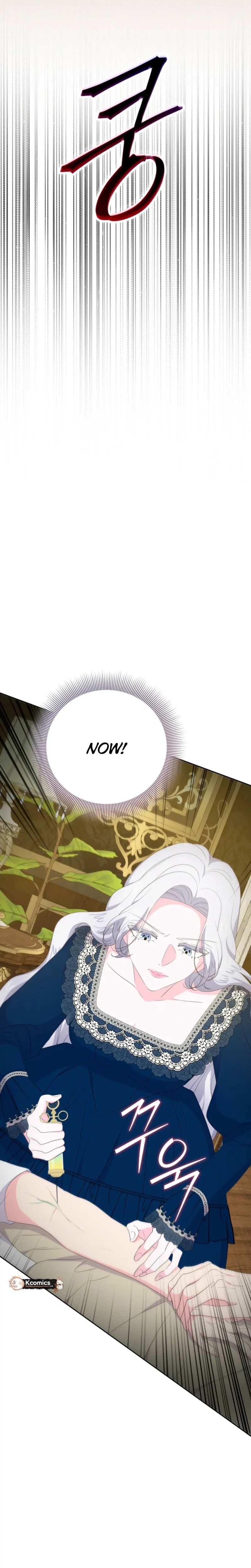 The Time-Limited Villainess Who Makes Medicine Chapter 42 Page 25