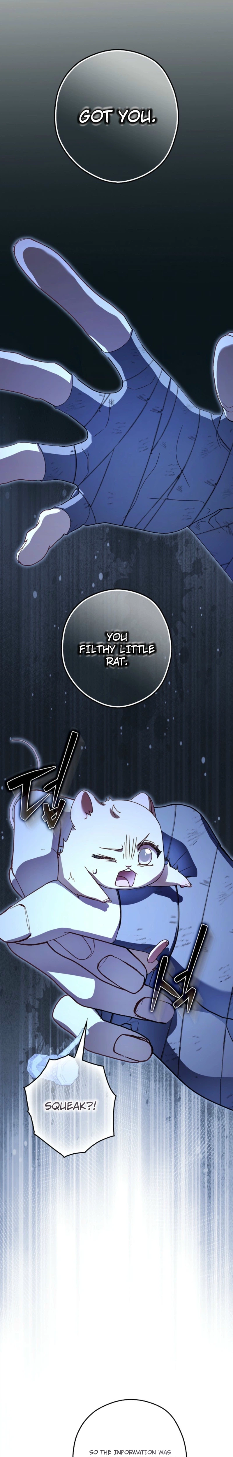 This Wild Mouse Has Taken Cinderella Chapter 48 Page 11
