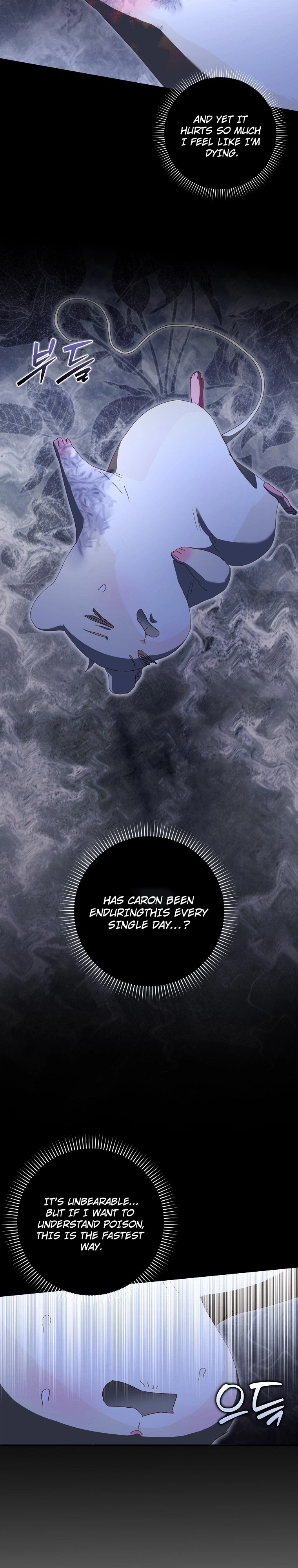 This Wild Mouse Has Taken Cinderella Chapter 47 Page 30